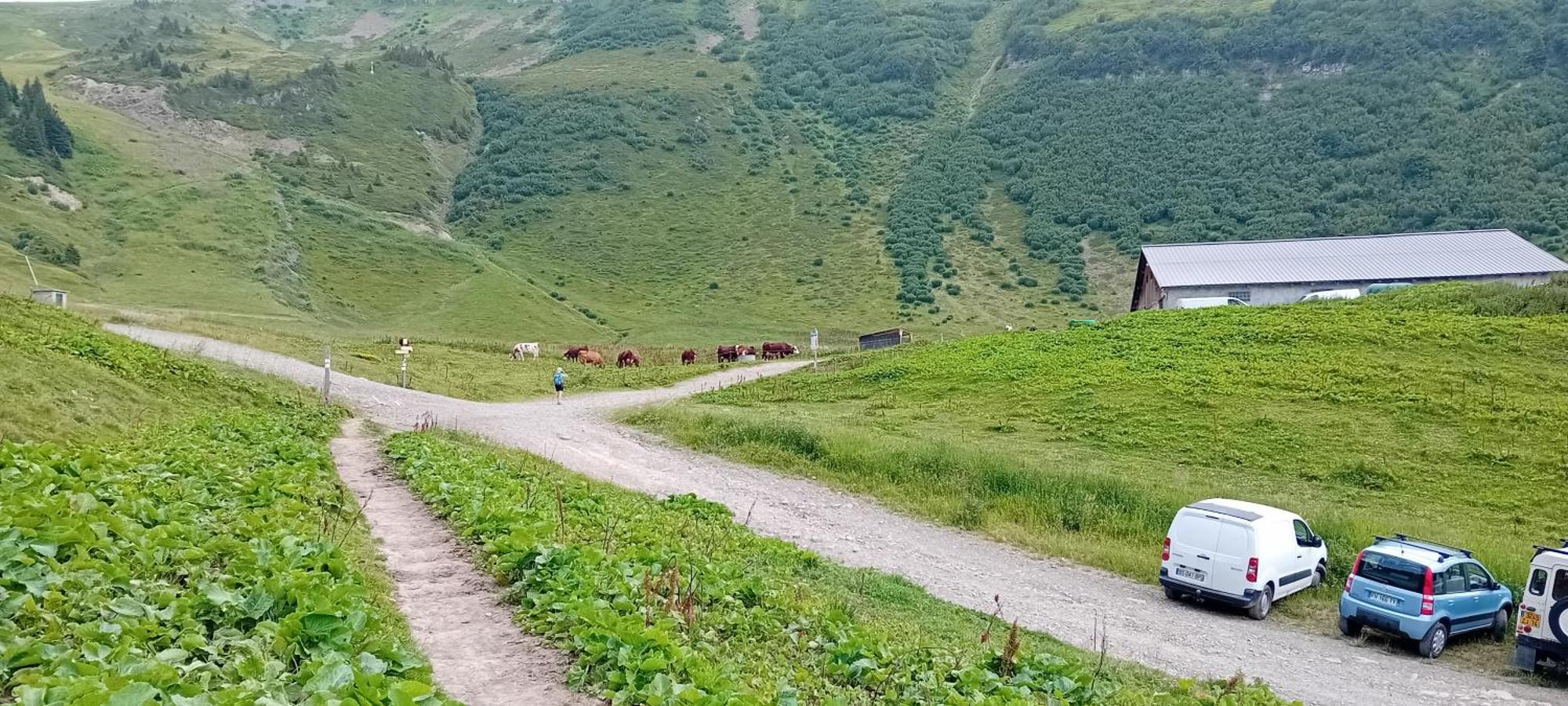 résidence Le Platé Les Carroz d'Araches Esterno foto